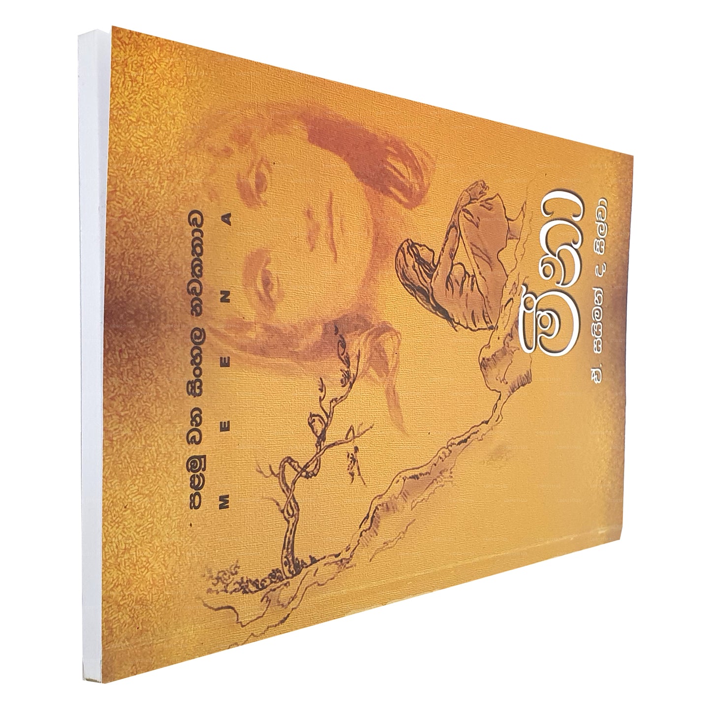 Meena - First Sinhala Novel