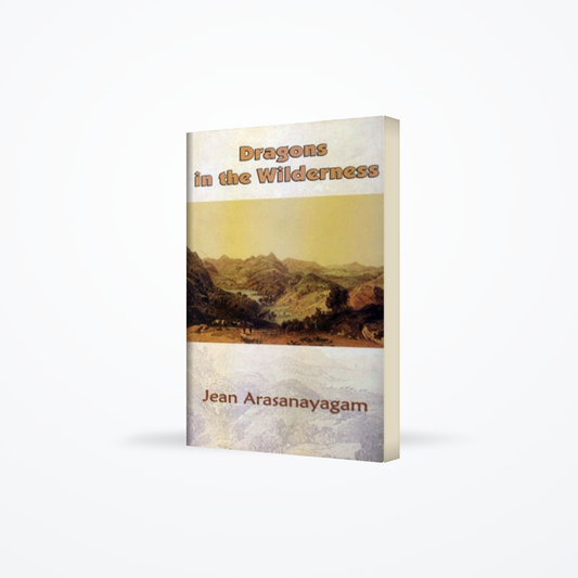 DRAGONS IN THE WILDERNESS