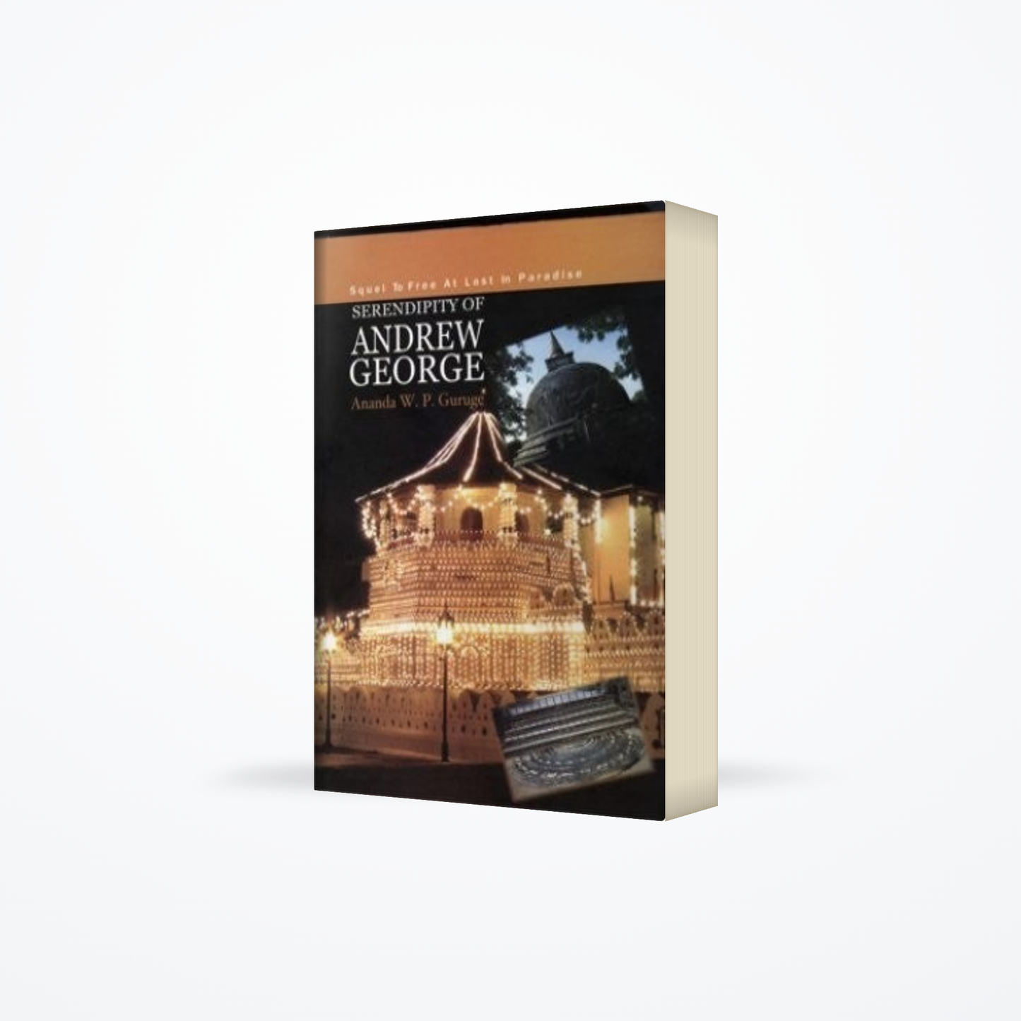 Serendipity Of Andrew George
