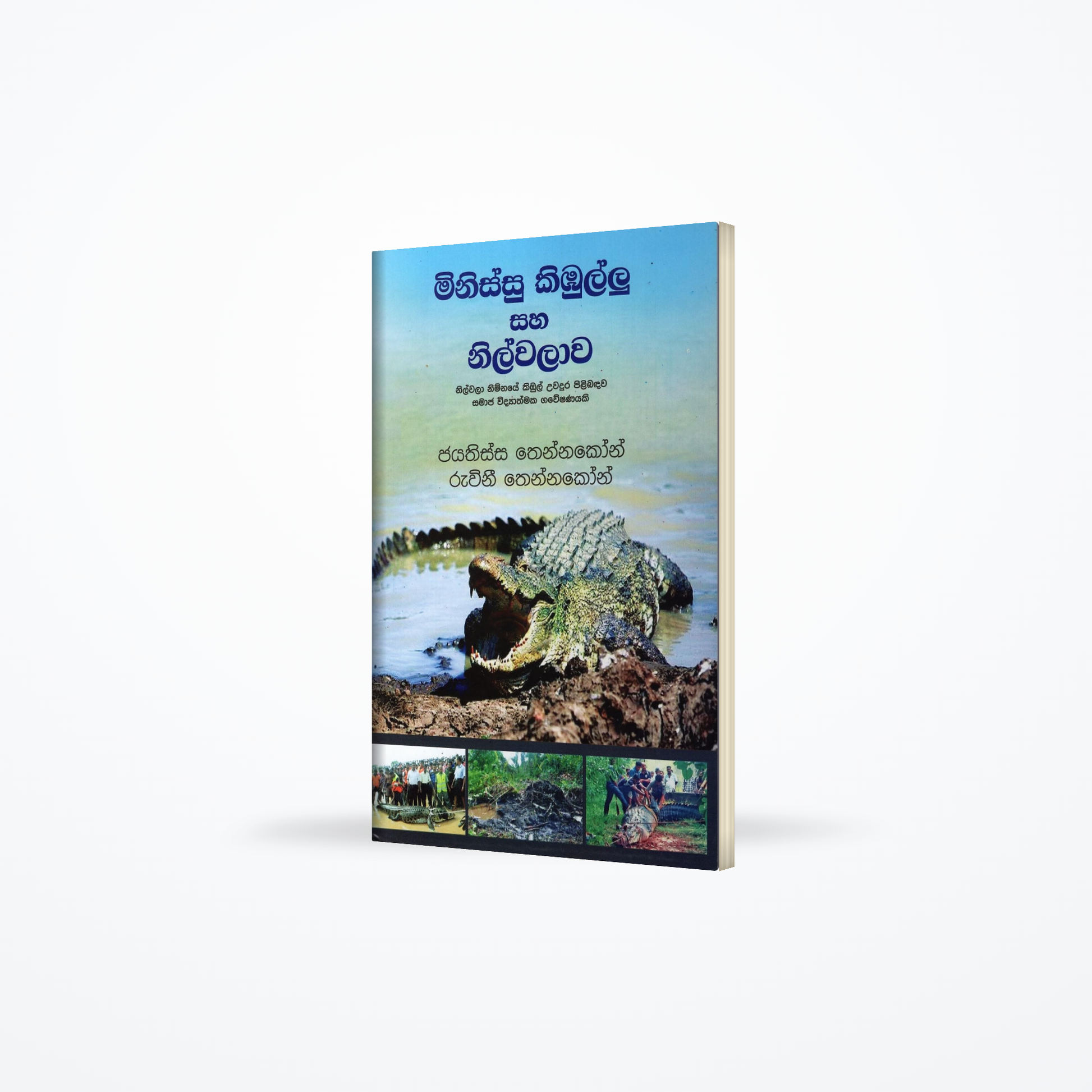 Minissu  Kibullu saha Nilwalawa(Nilwala Nimnaye kibul uwadura pilibadawa samaja widyathmaka gaweshan