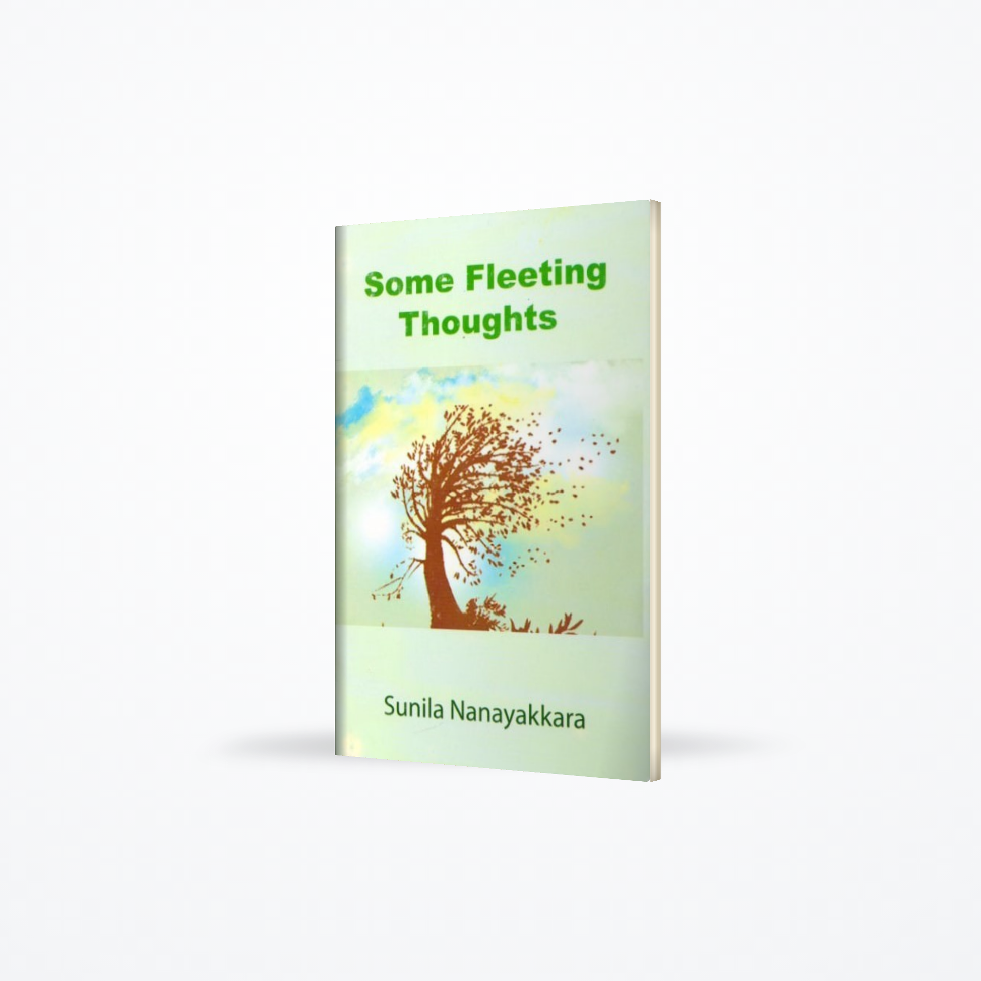 Some Fleeting Thoughts