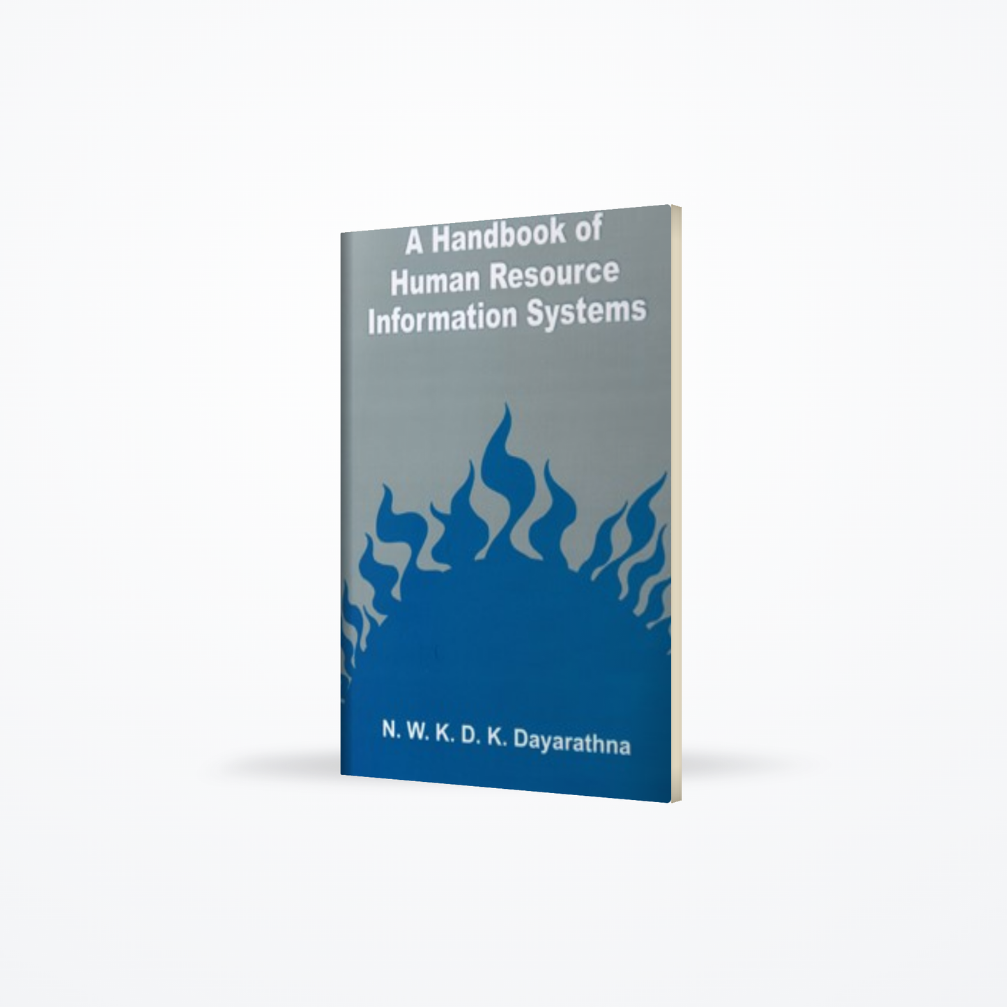 A Handbook of Human Resource Information Systems