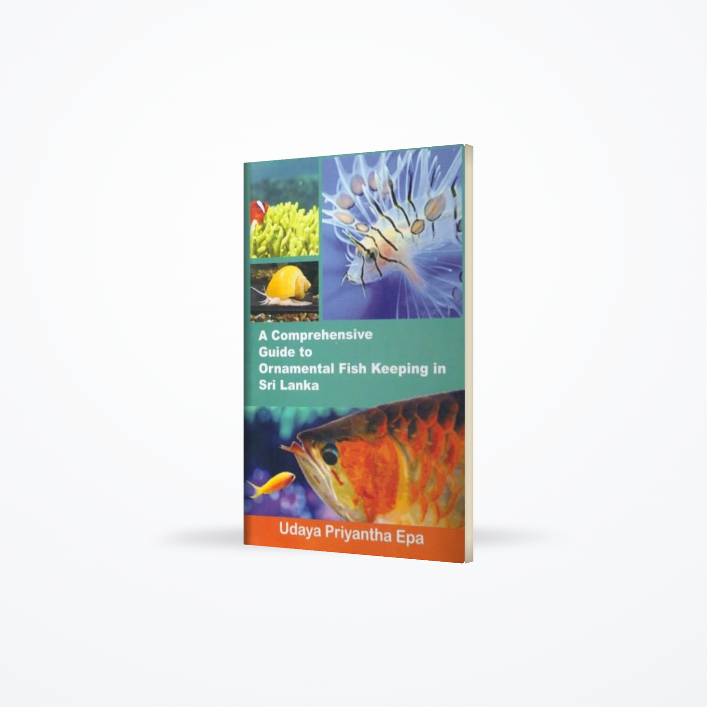 A comprehensive guide to ornamental fish keeping in Sri Lanka
