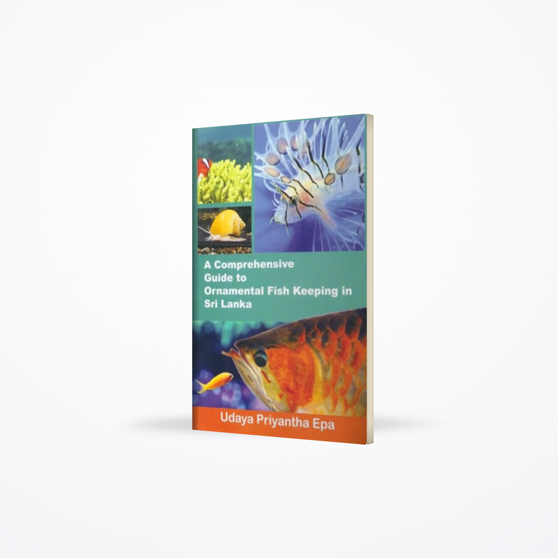 A comprehensive guide to ornamental fish keeping in Sri Lanka