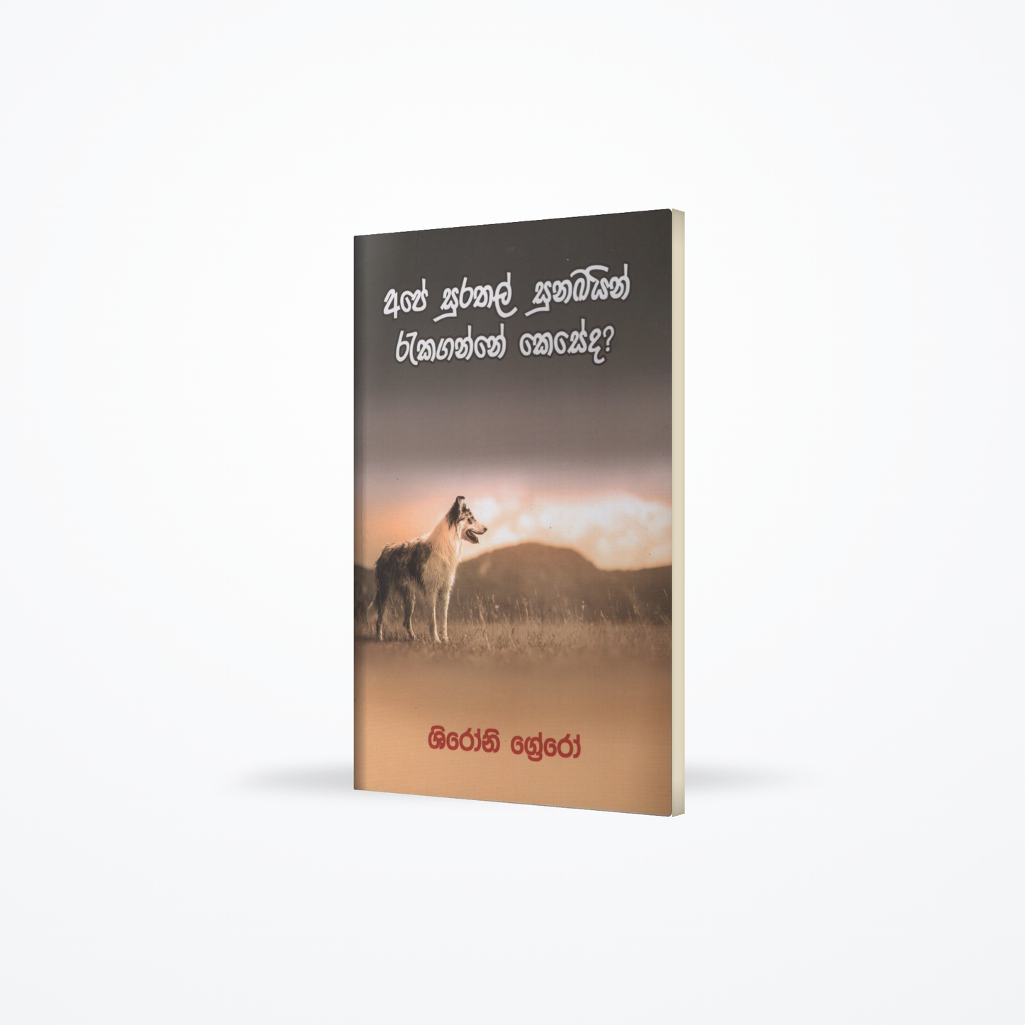 Ape Surathal Sunakain Rakaganne Keseda?