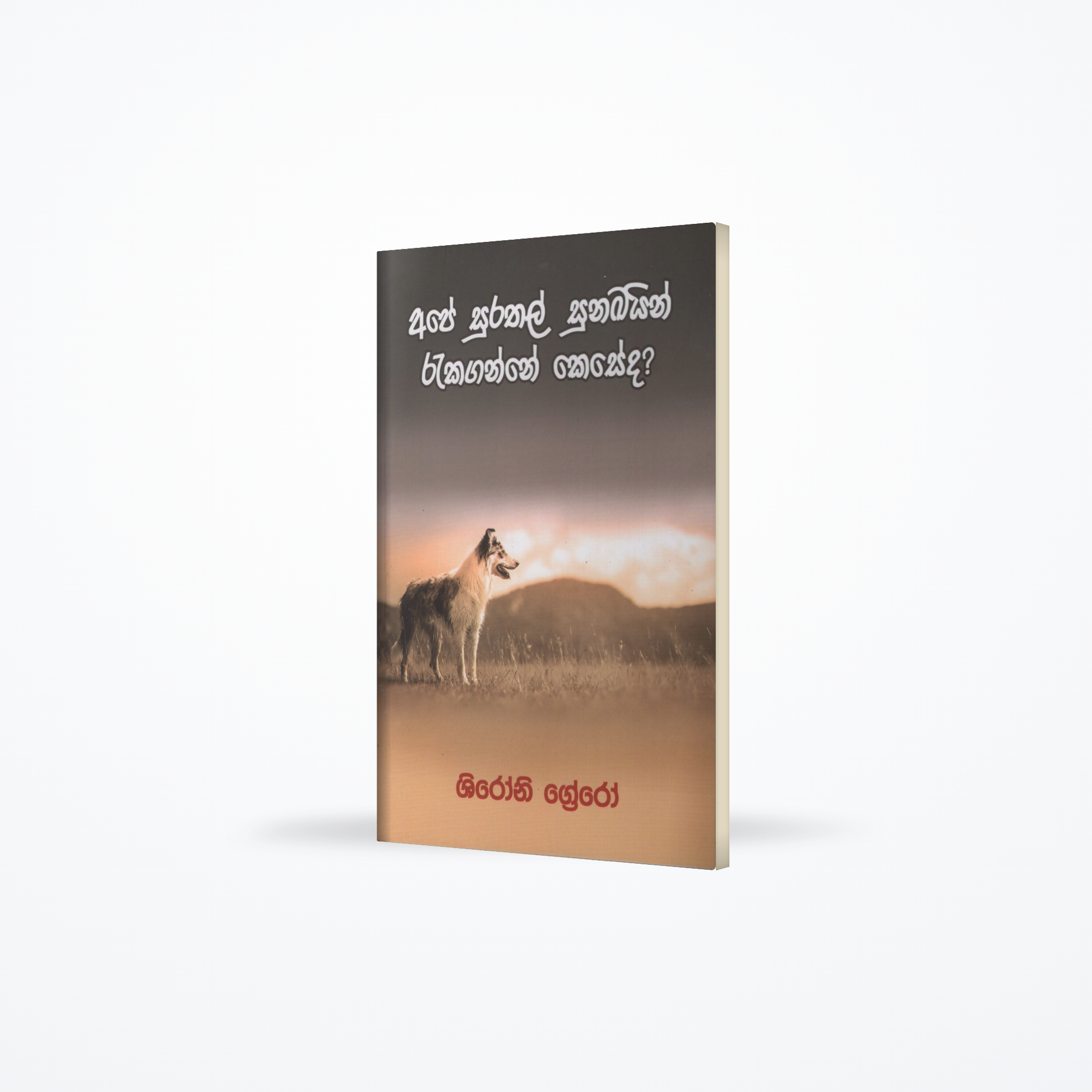 Ape Surathal Sunakain Rakaganne Keseda?