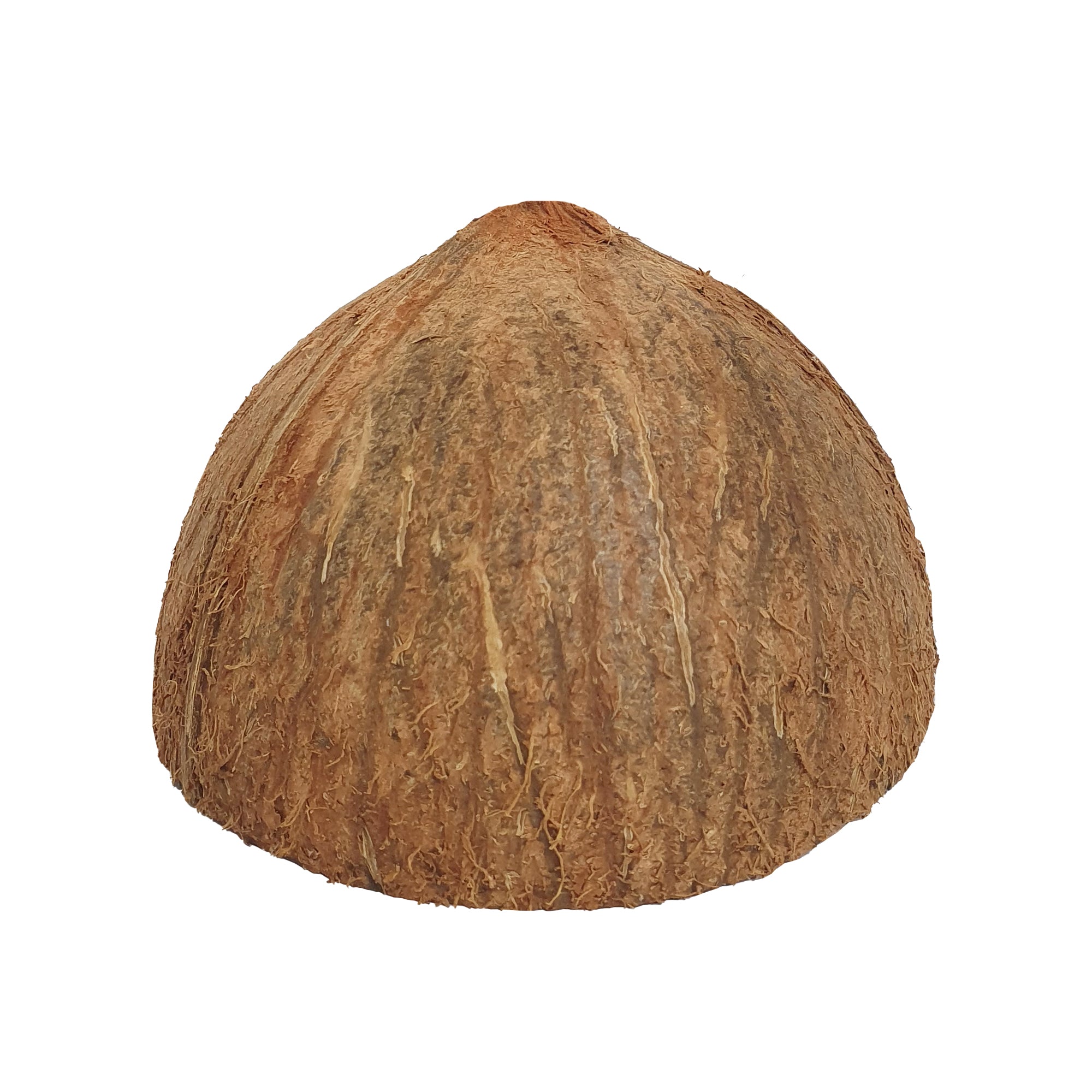 Lakpura® Coconut Shell Halves