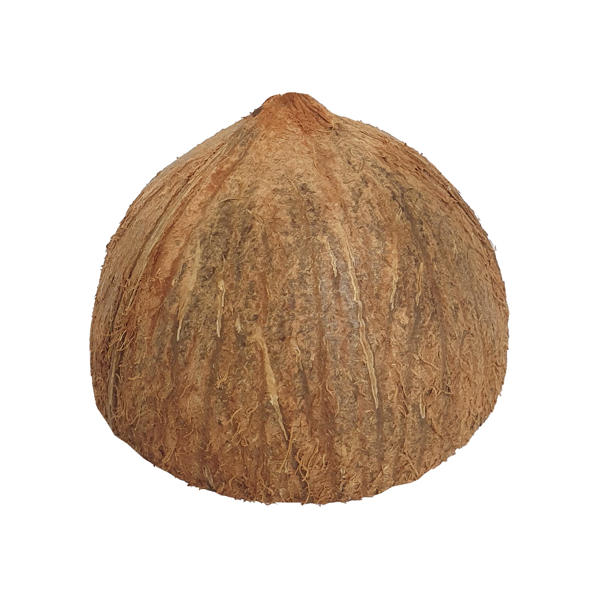 ココナッツ TOMOGUCHI（友口） 魅惑のさくさくココナッツ 400g ドライ チップ