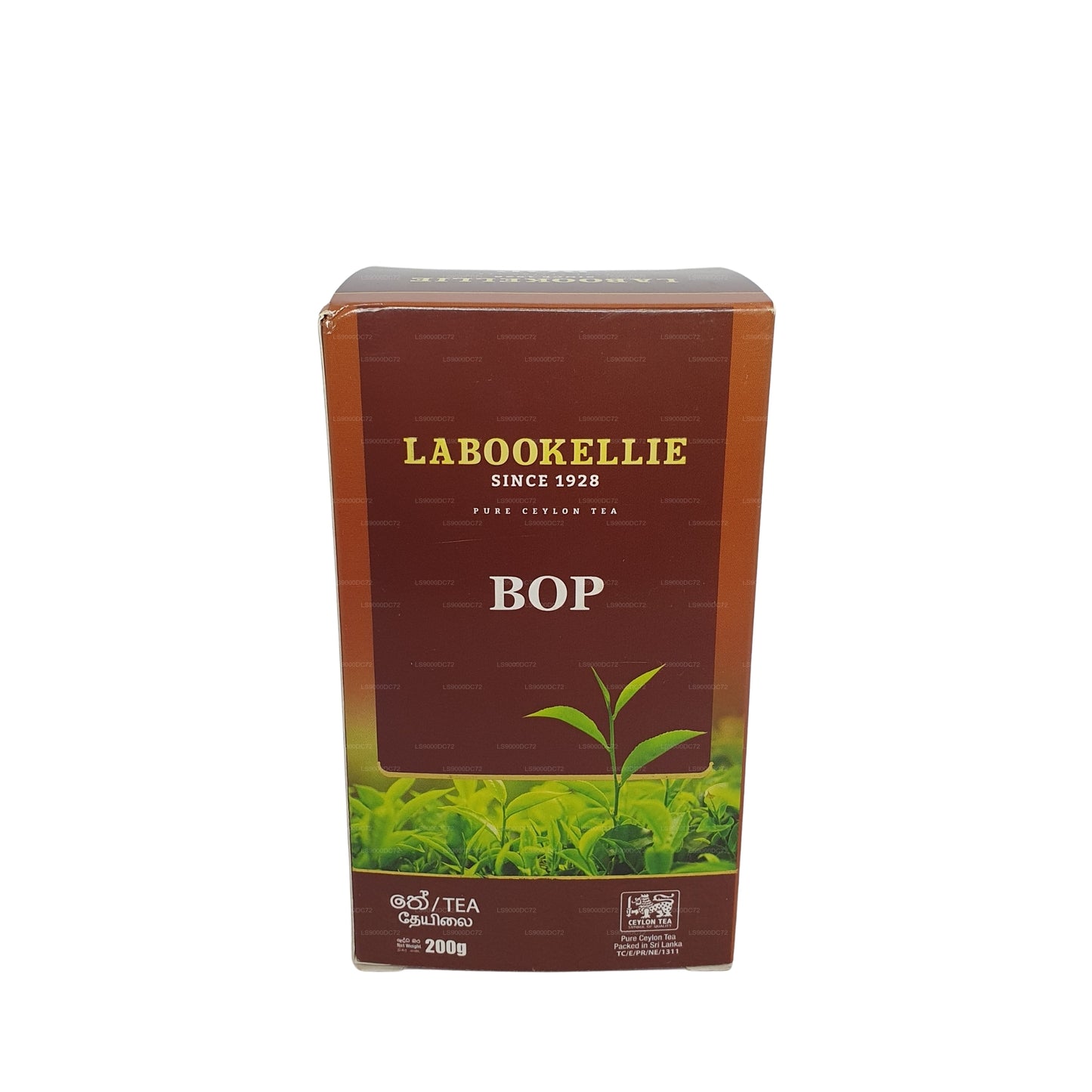 DG Labookellie BOP Tee (200 g)