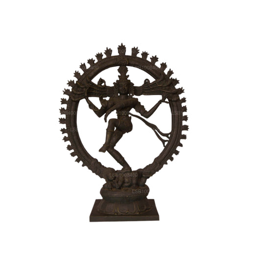 NHRC ナタラジ - ポロンナルワ