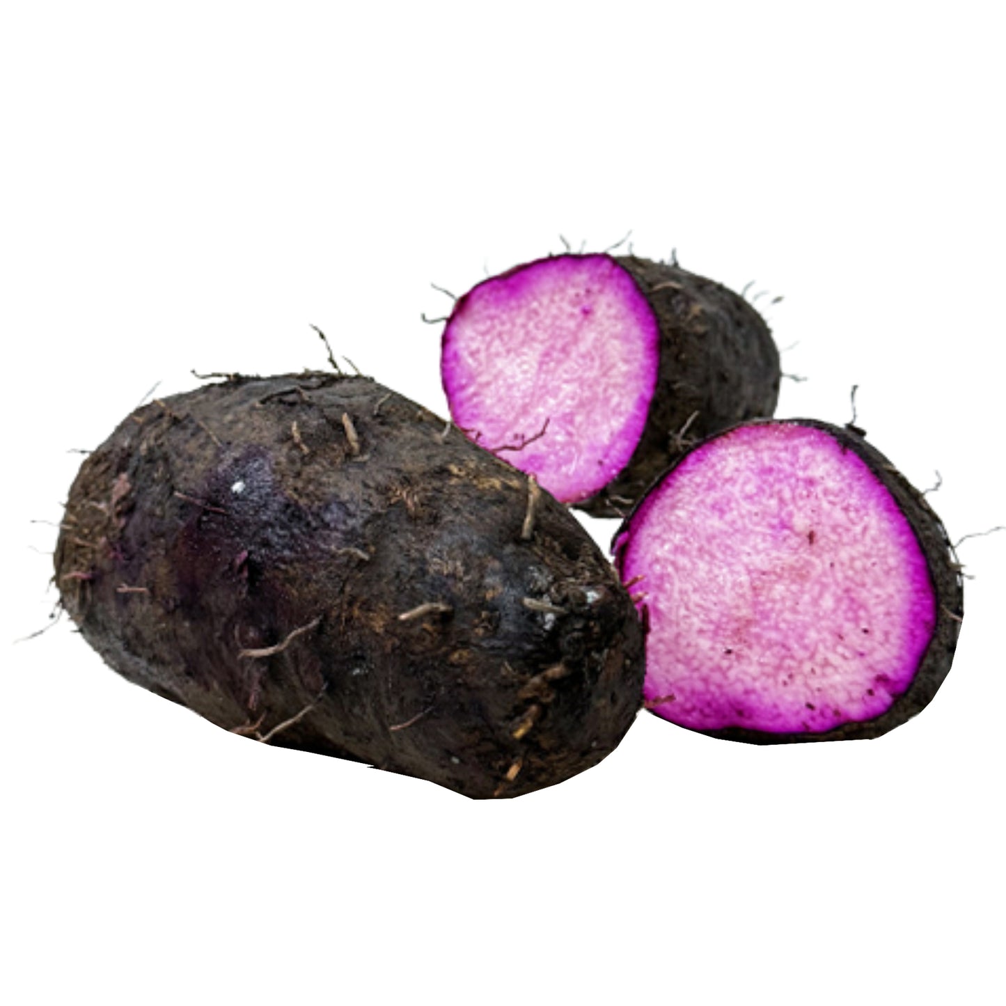 락푸라 라자 알라 (500g)