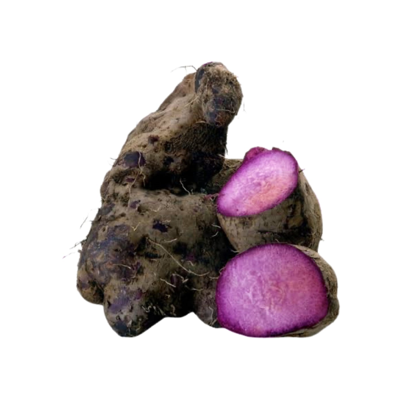 락푸라 라자 알라 (500g)