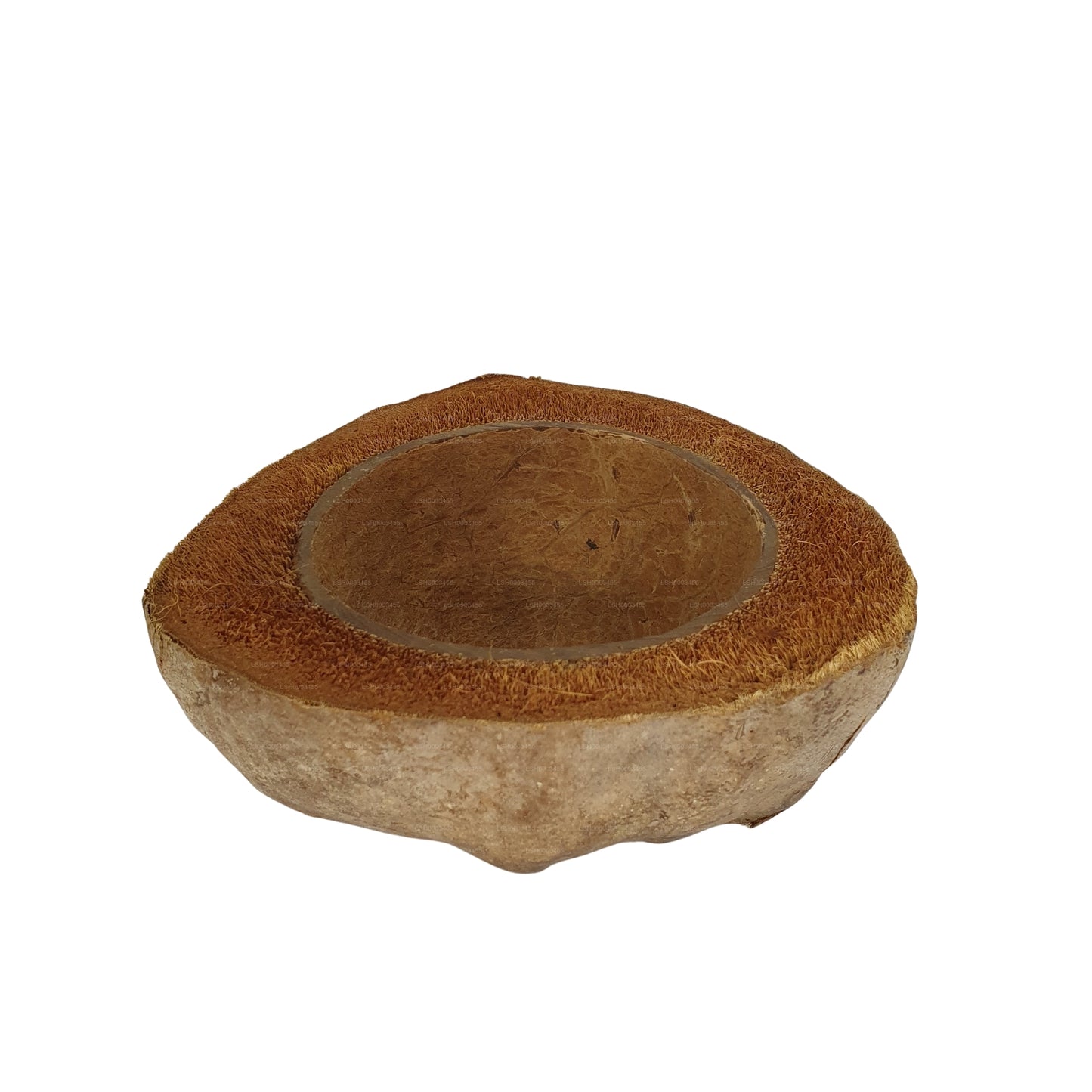 تصميم وعاء زراعة جوز الهند الطبيعي من Bivenro (حجم مجاني)