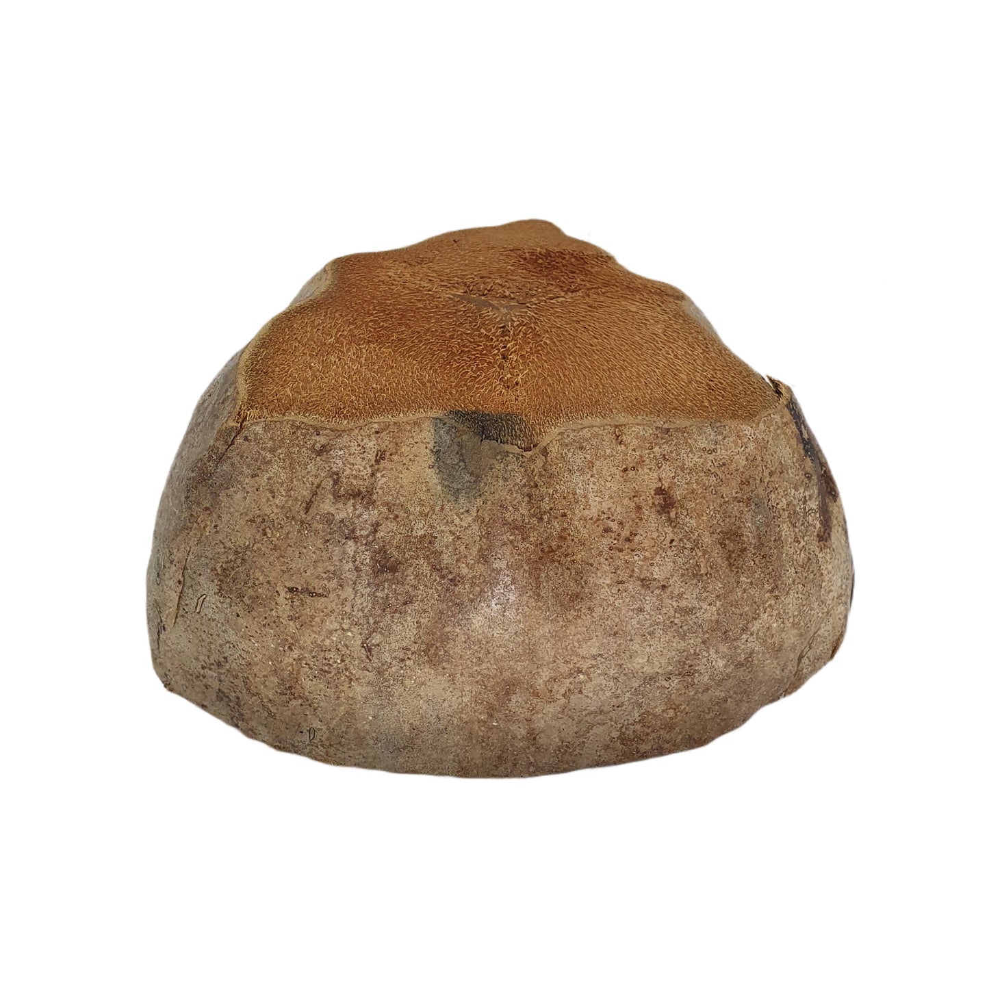 Bivenro Natural Coconut Planteringskruka Design (fri storlek)