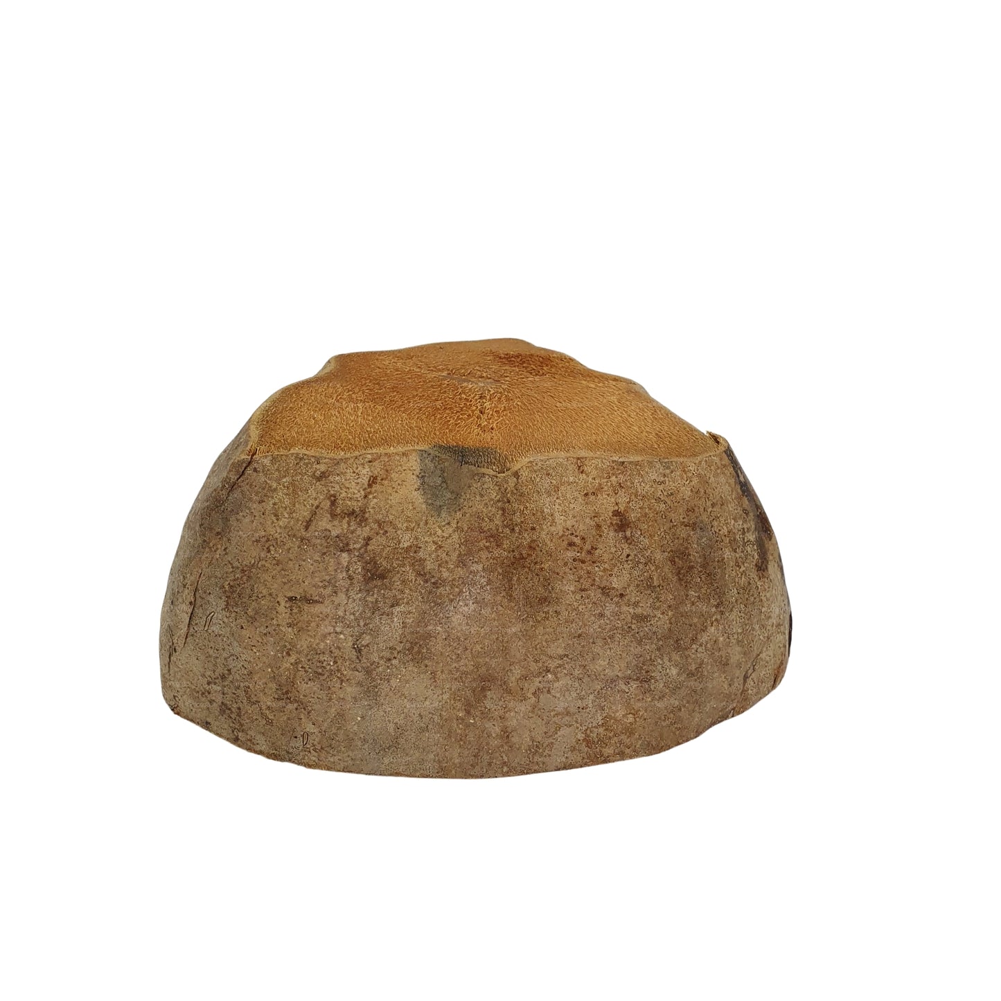 تصميم وعاء زراعة جوز الهند الطبيعي من Bivenro (حجم مجاني)