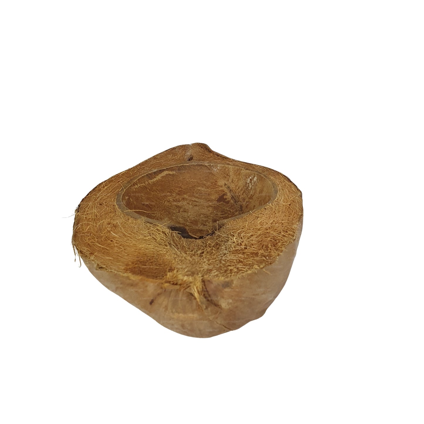 Bivenro Natural Coconut Pet Bowl Design (Free Size)