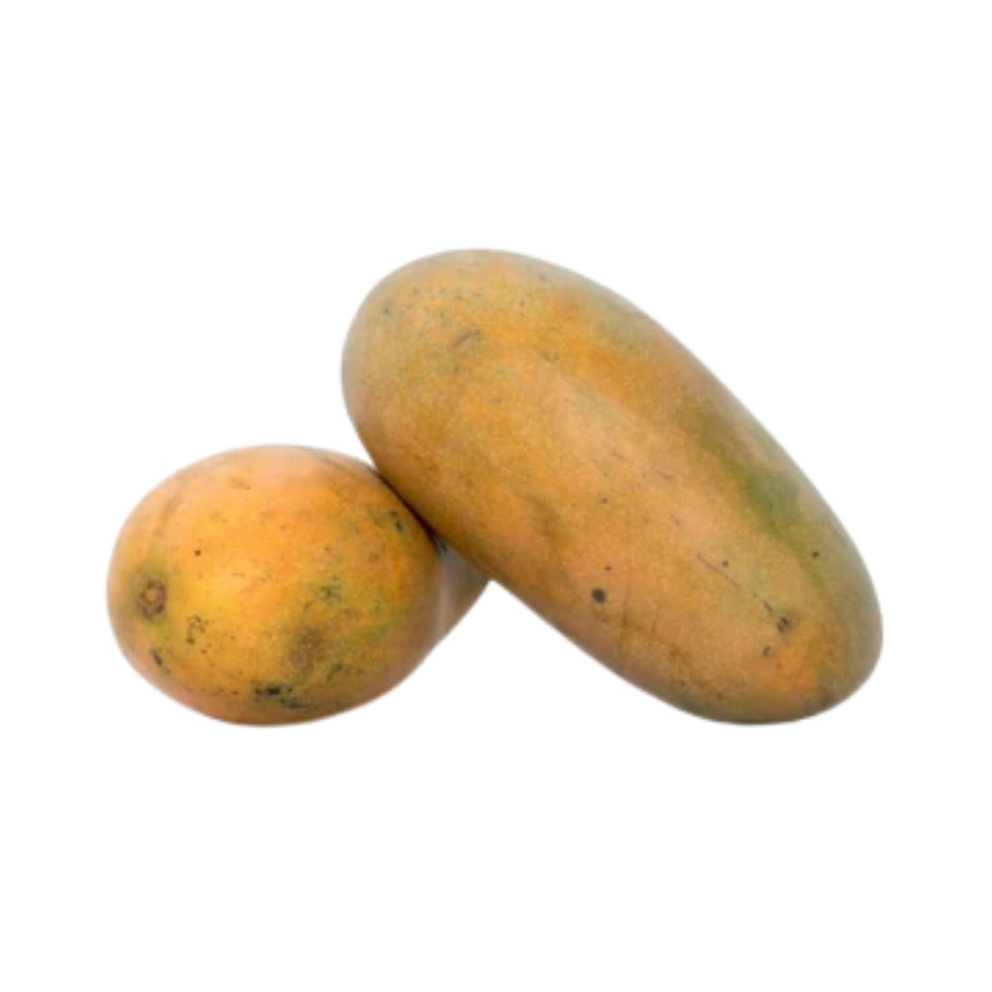 Lakpura® Karthakolomban Mango Plant