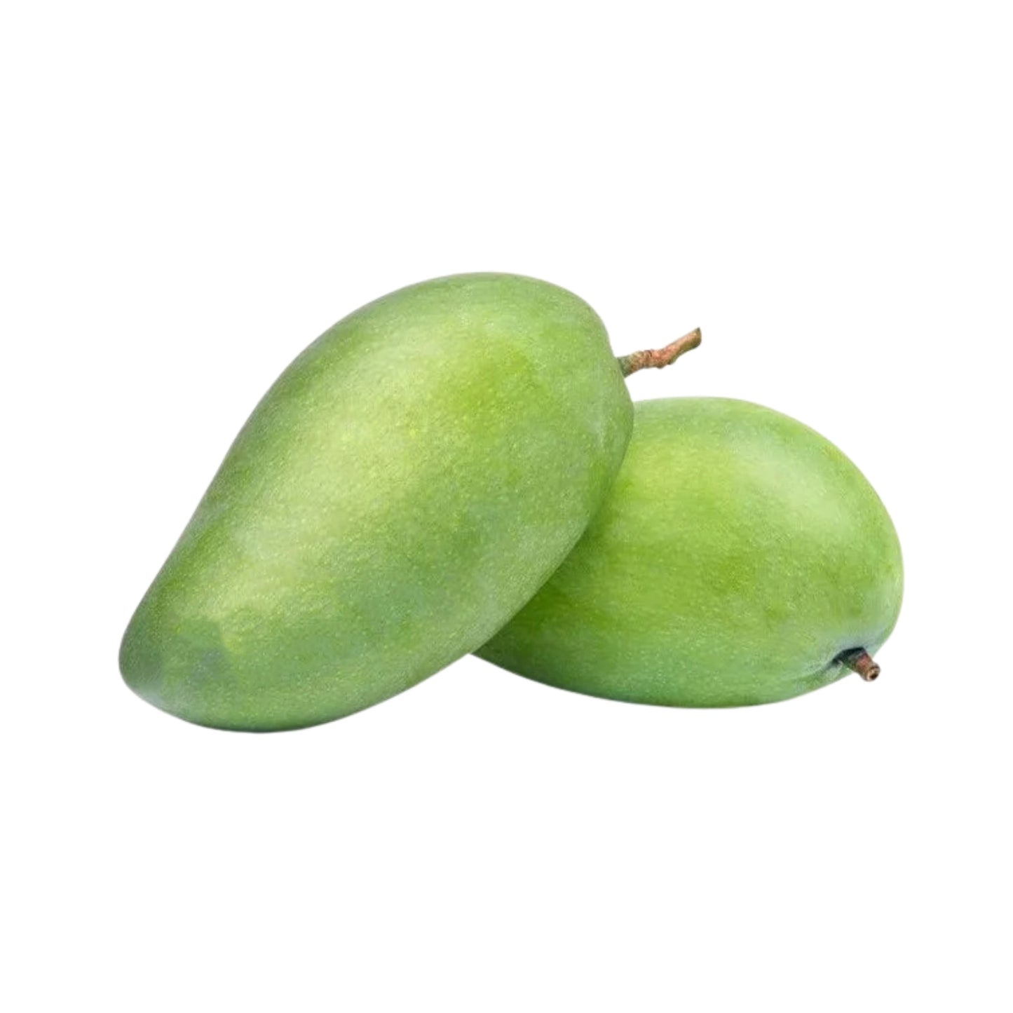 락푸라® 벨라이콜룸반 망고 플랜트