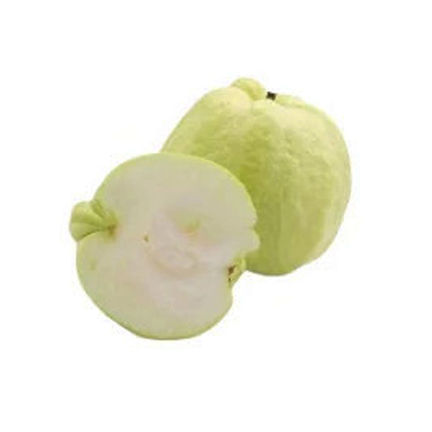 Lakpura vitt äpple Guava fruktväxt