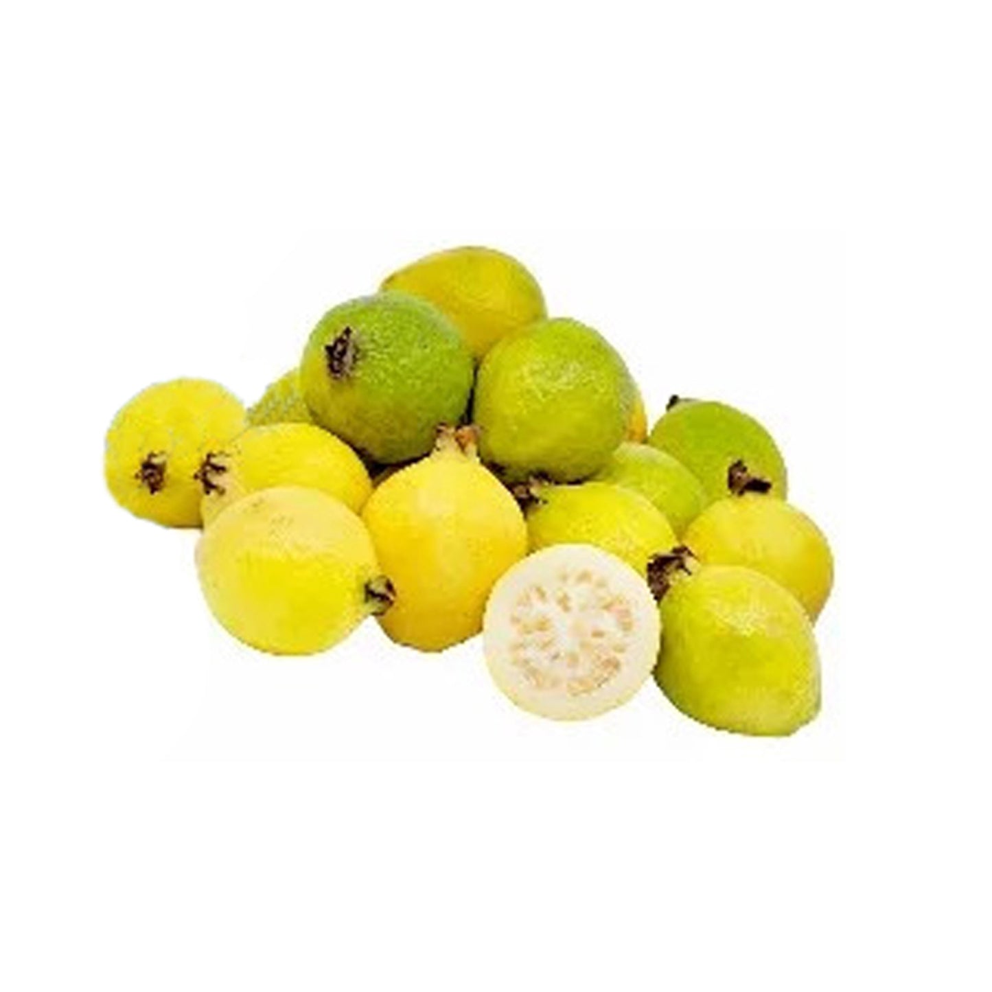 Lakpura gele Chinese guavefruitplant