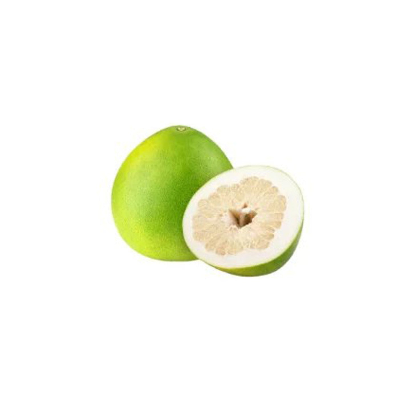 شتلة لاكبورا® التايلاندية البيضاء المطعمة