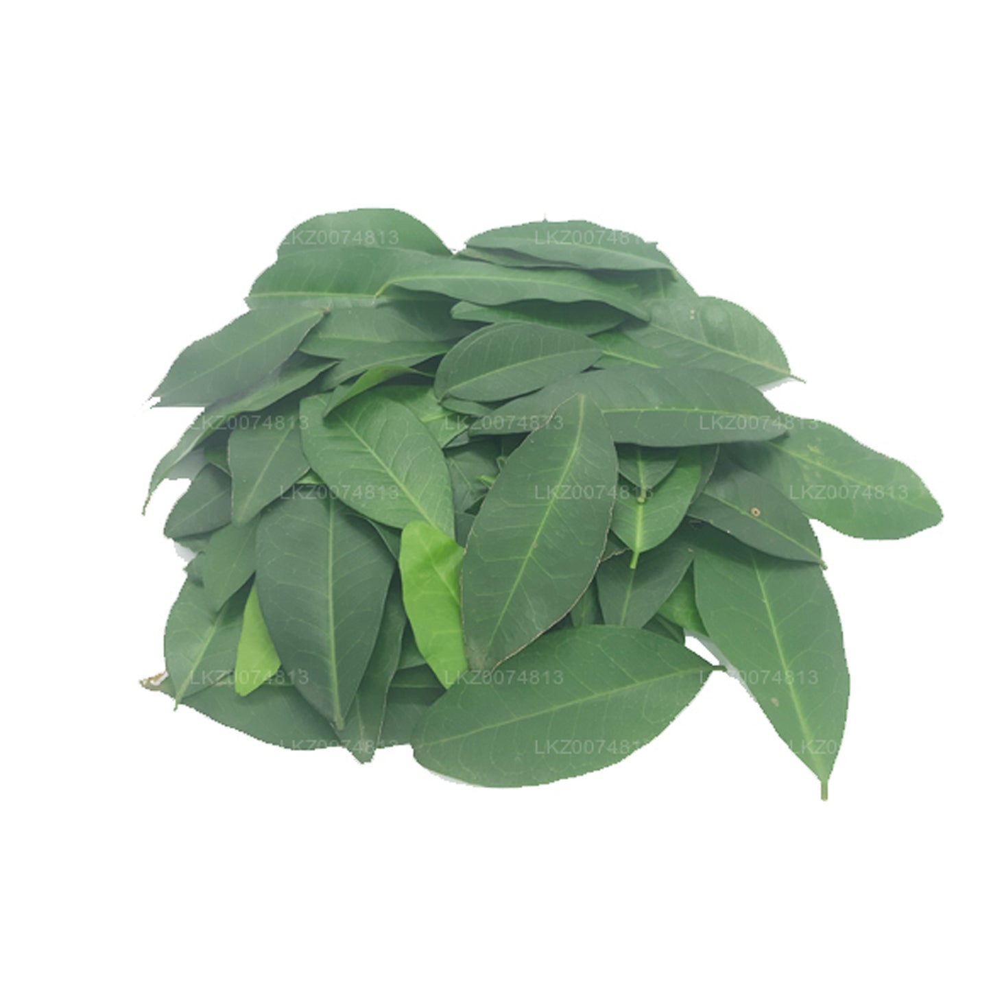Lakpura Fresh Yaki Naran (Atalantia Ceylanica)