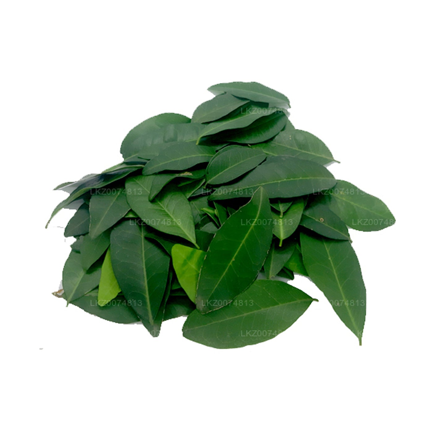 Lakpura Fresh Yaki Naran (Atalantia Ceylanica)