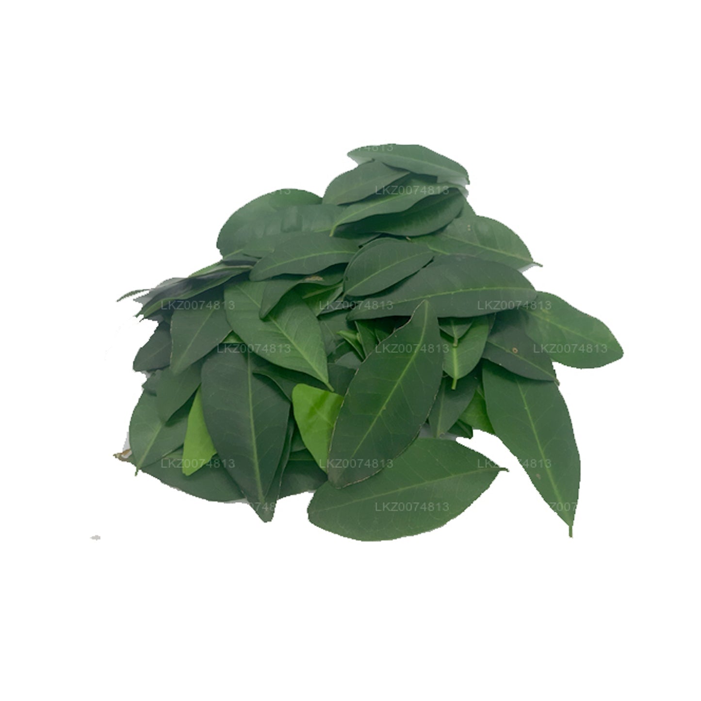 Lakpura Fresh Yaki Naran (Atalantia Ceylanica)