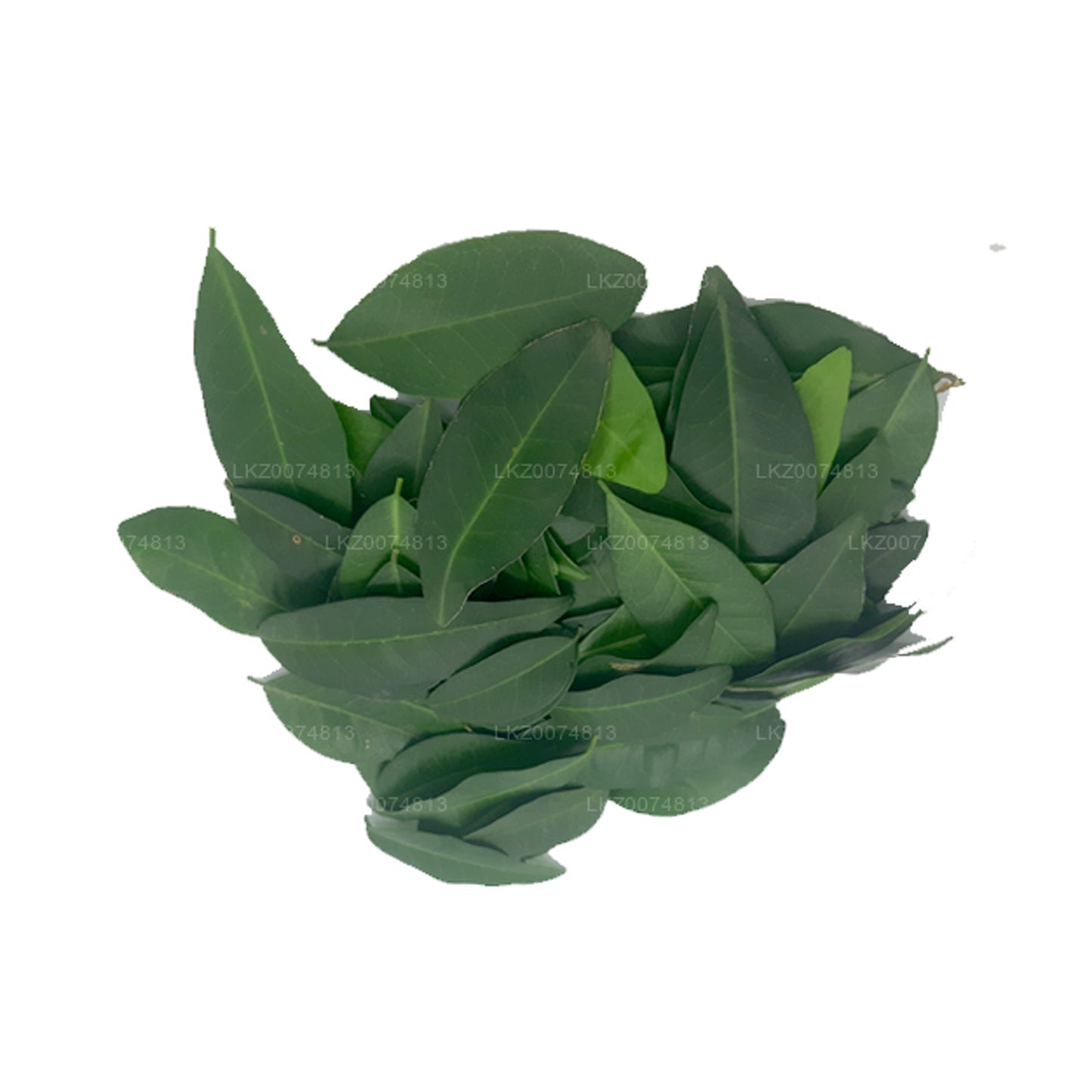 Lakpura Fresh Yaki Naran (Atalantia Ceylanica)