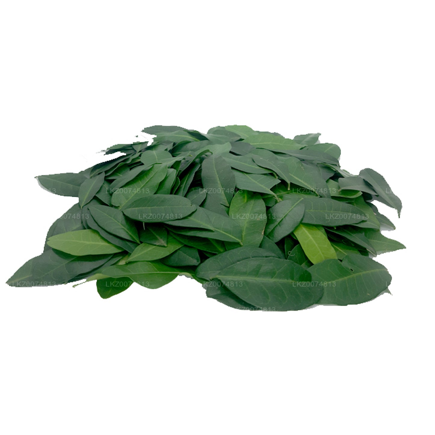 Lakpura Fresh Yaki Naran (Atalantia Ceylanica)
