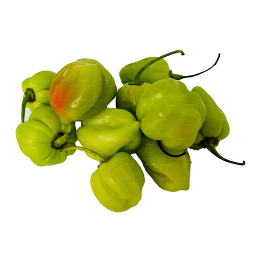 Lakpura Scotch Bonnet (Nai Miris)