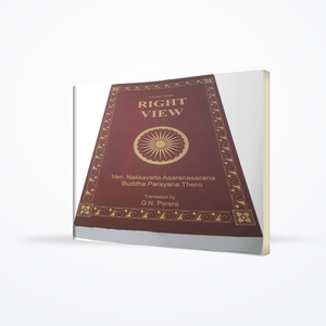 A Wisdom Review - Right View