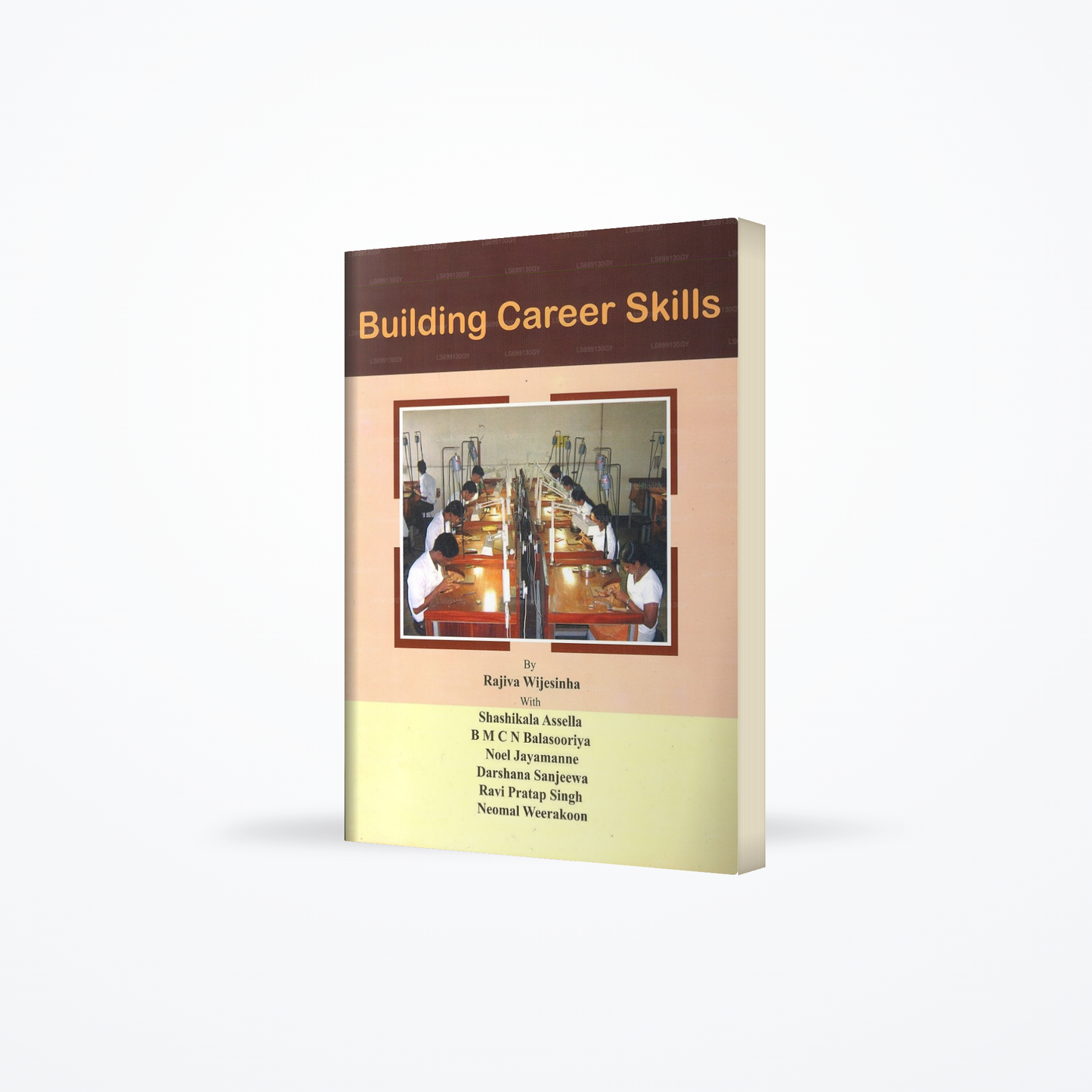 Building Career Skills