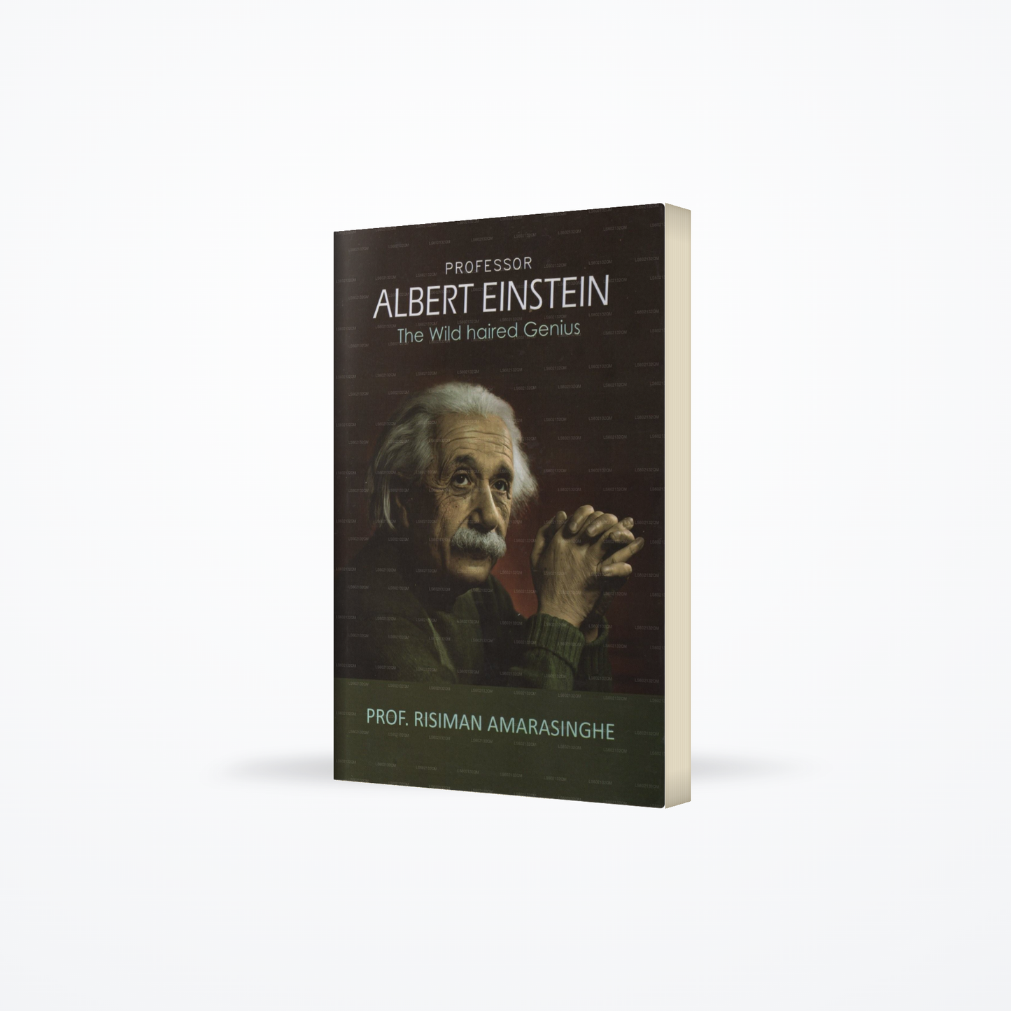 Professor Albert Einstein(The Wild Haired Genius)
