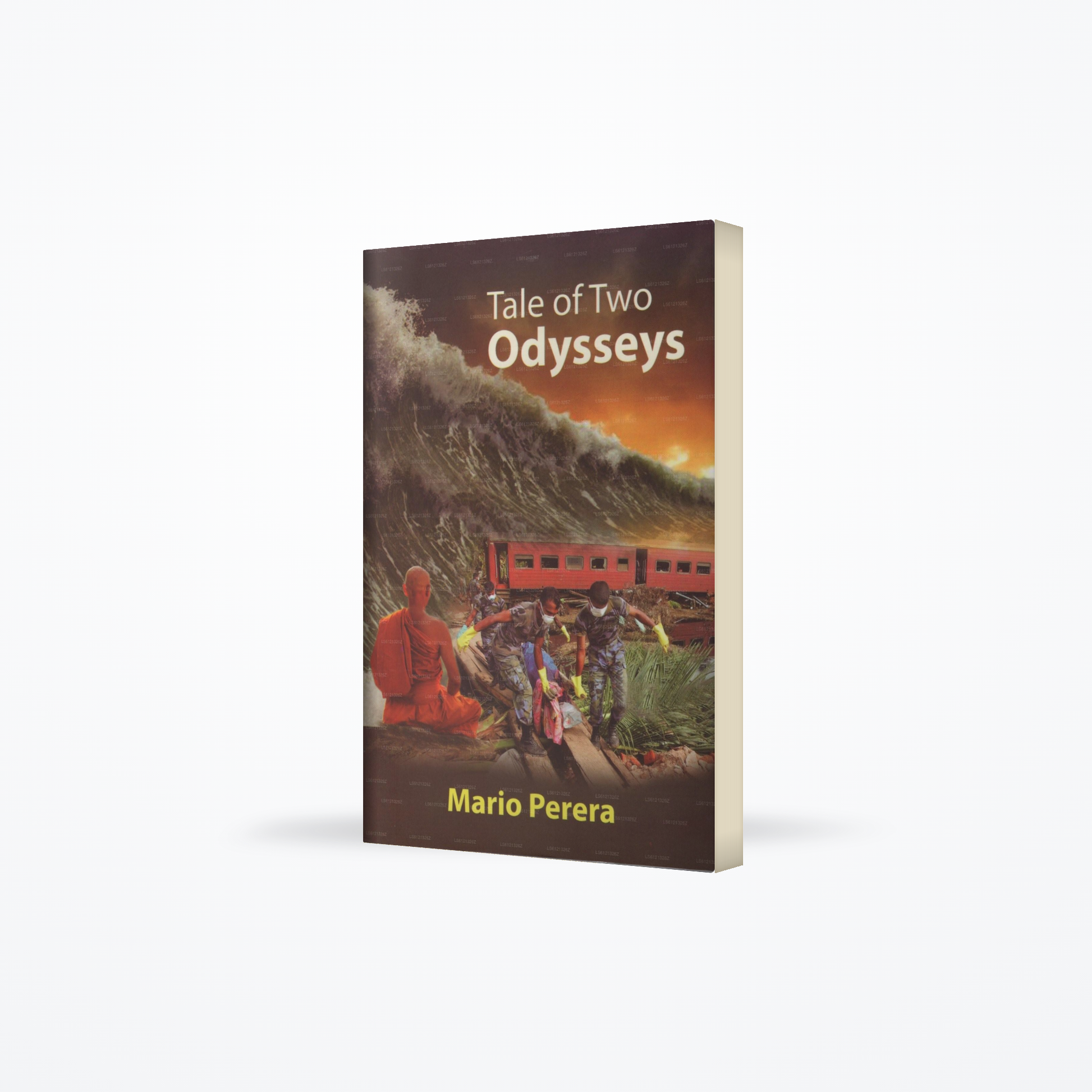 Tale of Two Odysseys