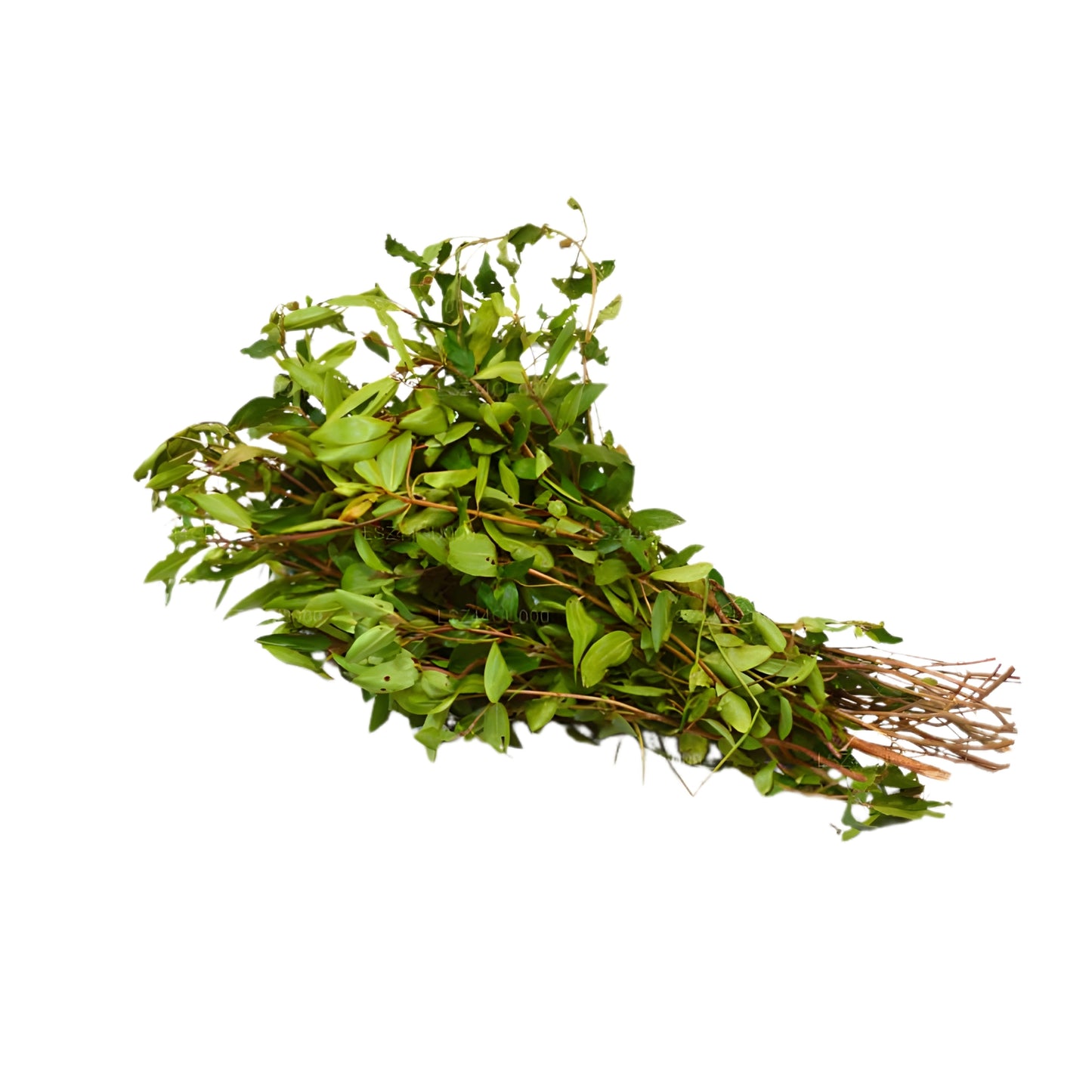 Lakpura® Bovitiya Leaves