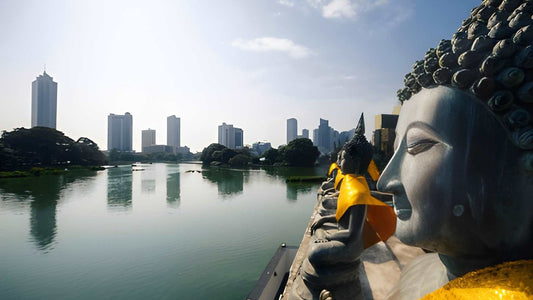Colombo to Yala Private Transfer with Sightseeing Stops