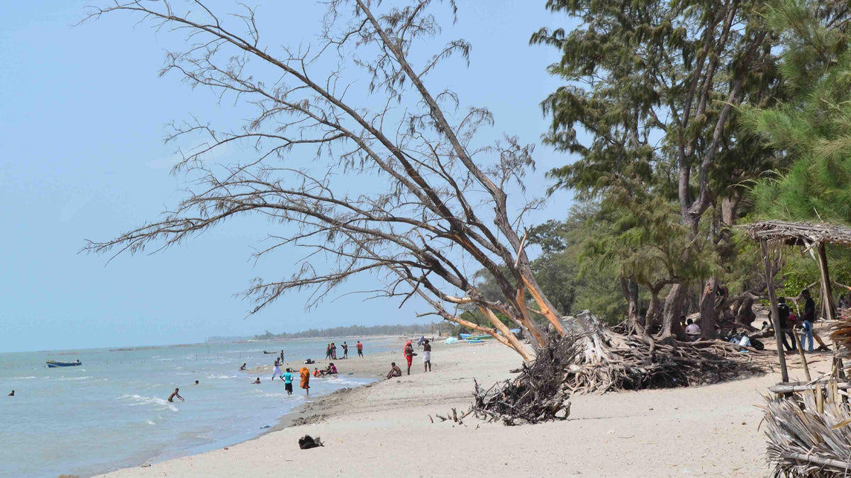 Jaffna Coastal Explorer Tour