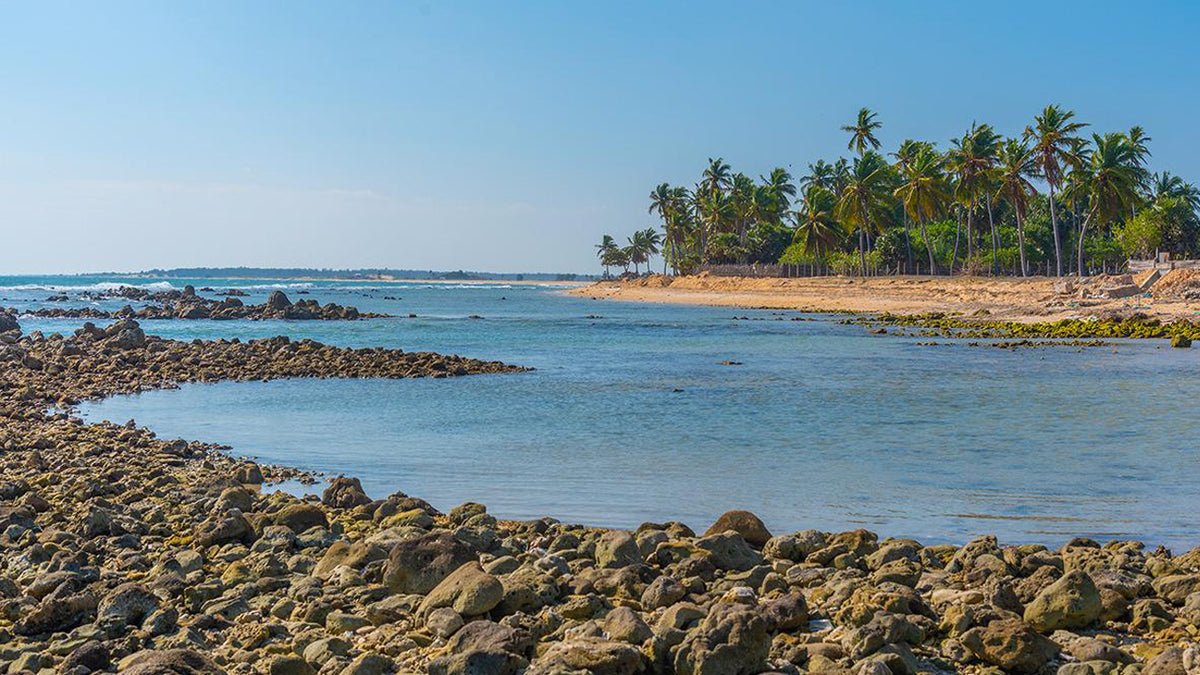 Jaffna Coastal Explorer Tour