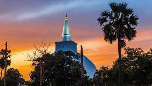 Anuradhapura to Sigiriya Private Transfer with Wilpattu Safari