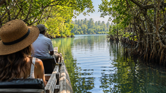 Silent Mangrove Boat and Catamaran Tour from Mirissa