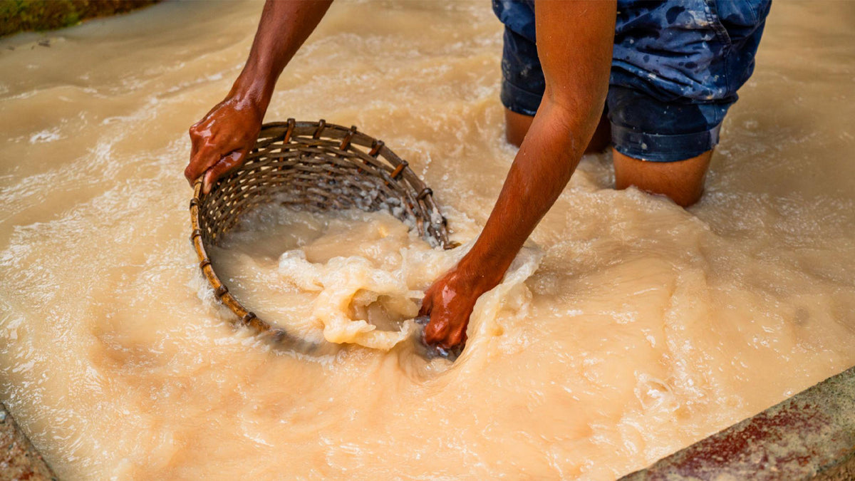 2-Day Gem Mining Experience & Waterfall Escape from Colombo