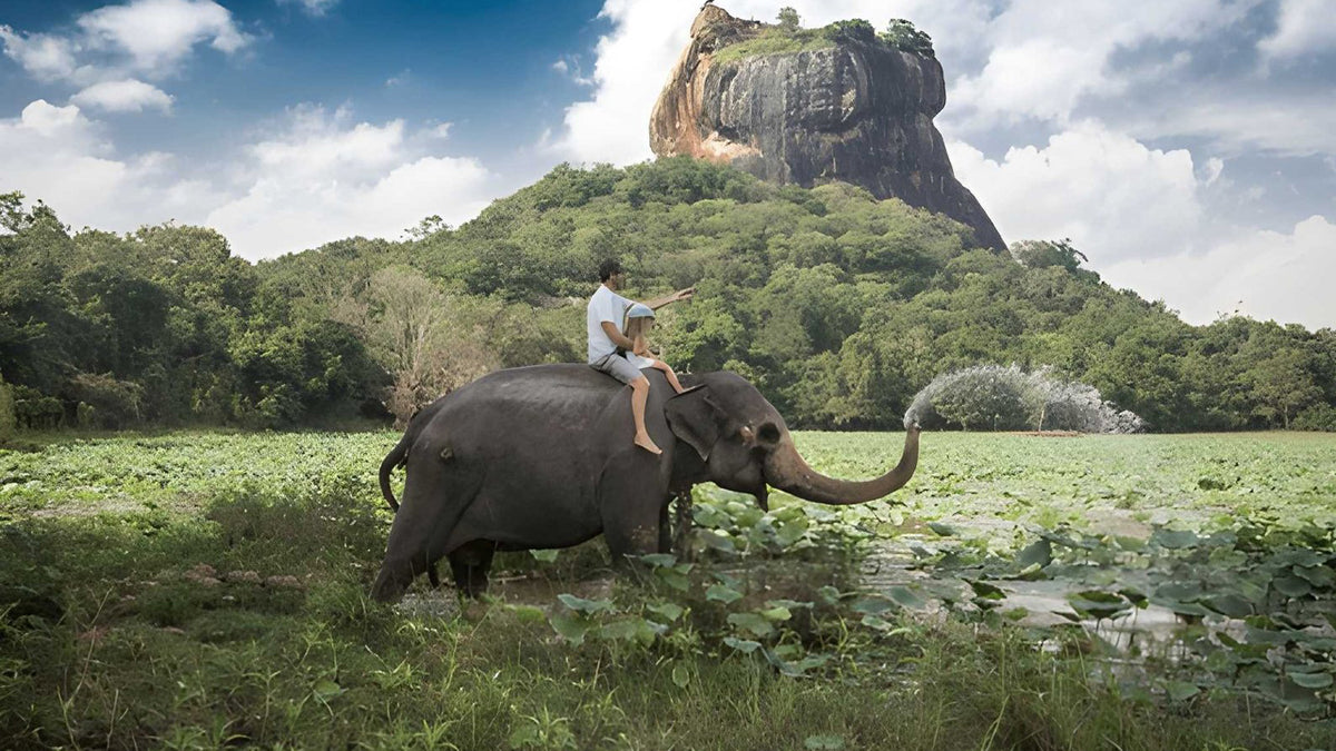 Sigiriya and Dambulla Cave from Ahungalla
