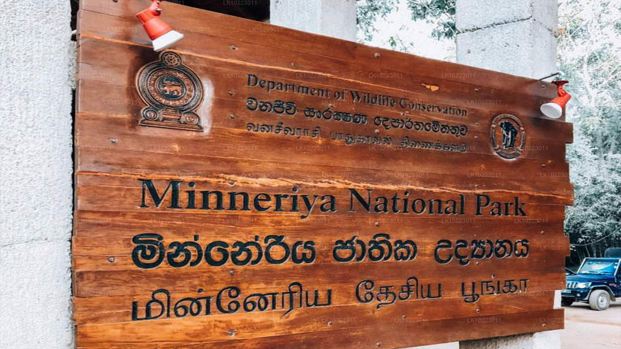 Sigiriya and Minneriya from Negombo (2 Days)