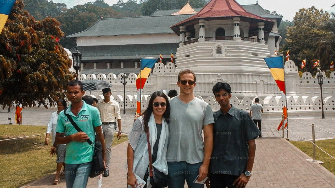 Last Kingdom of Sri Lanka from Colombo (3 Days)