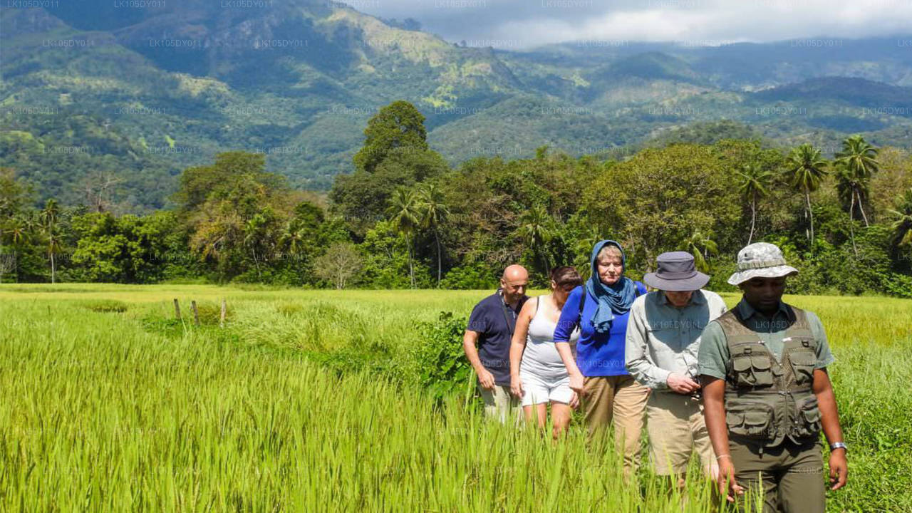 Agro Tour of Sri Lanka (6 Days)