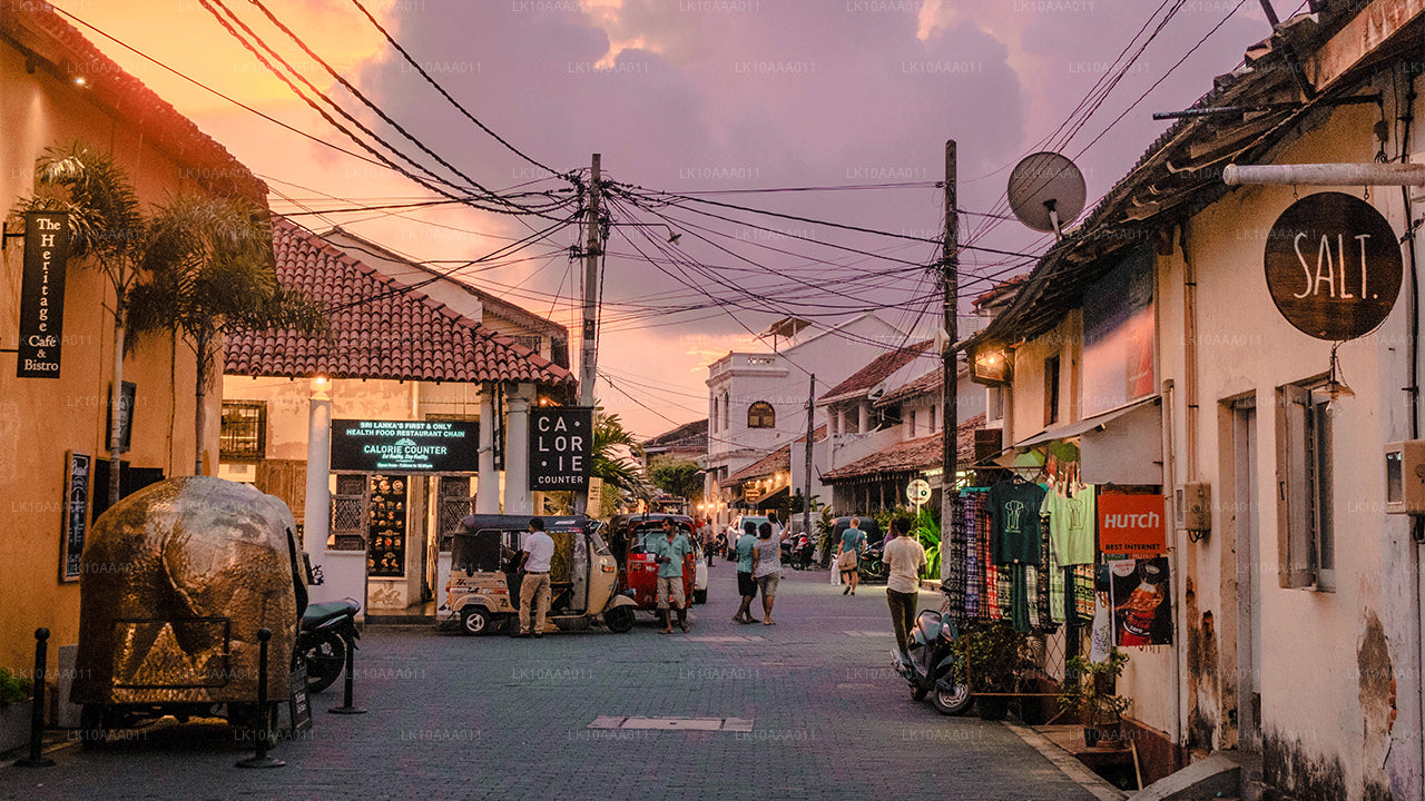 Highlights of Sri Lanka (10 Days)