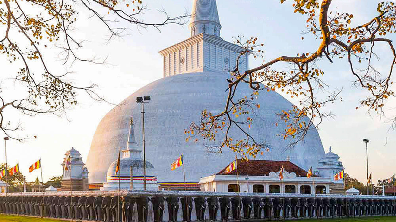 Buddhist Pilgrimage Tour (13 Days)
