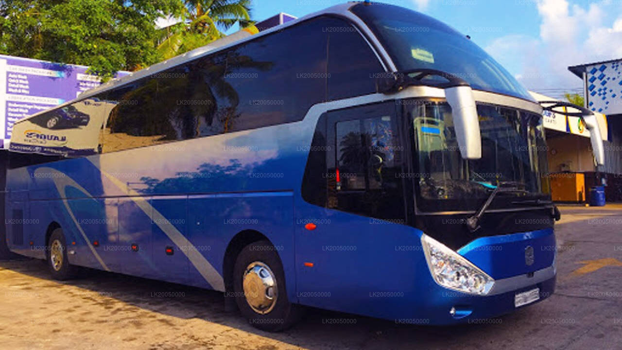 Chauffeur Driven Large Bus Rental