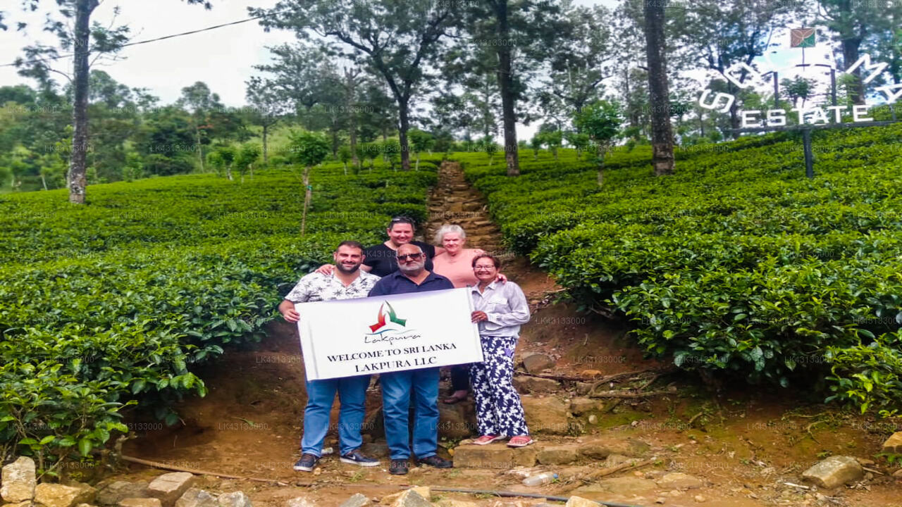Transfer between Colombo Airport (CMB) and V&J Holiday Bungalow, Nuwara Eliya